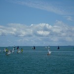 Optimist fleet