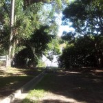 View down to Brisbane River