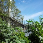 Bridge at St Lucia, Queensland