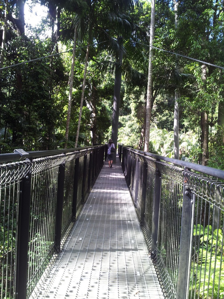 Skywalk at Mount Tamborine