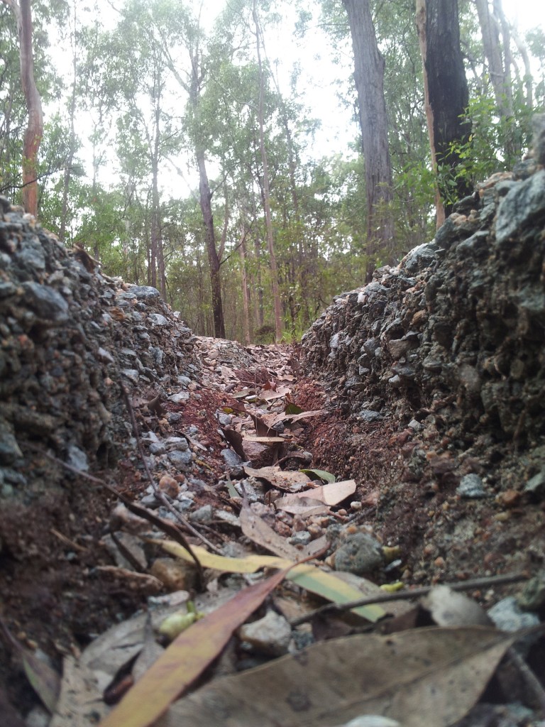 Rain channel in forest