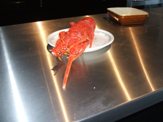 Rancid rock lobster