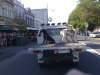 Dogs on flatbed truck