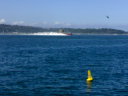 Fuzzy picture of racing powerboat