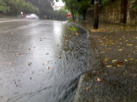 Rain on Sydney street