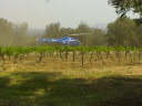 Helicopter taking off amongst vines